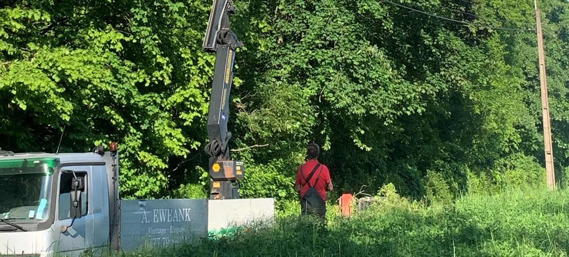 travaux d'abattage